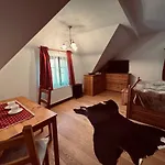 - V Srdci Krušných Hor Apartmán Jáchymov