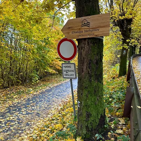 - V Srdci Krusnych Hor 아파트 *